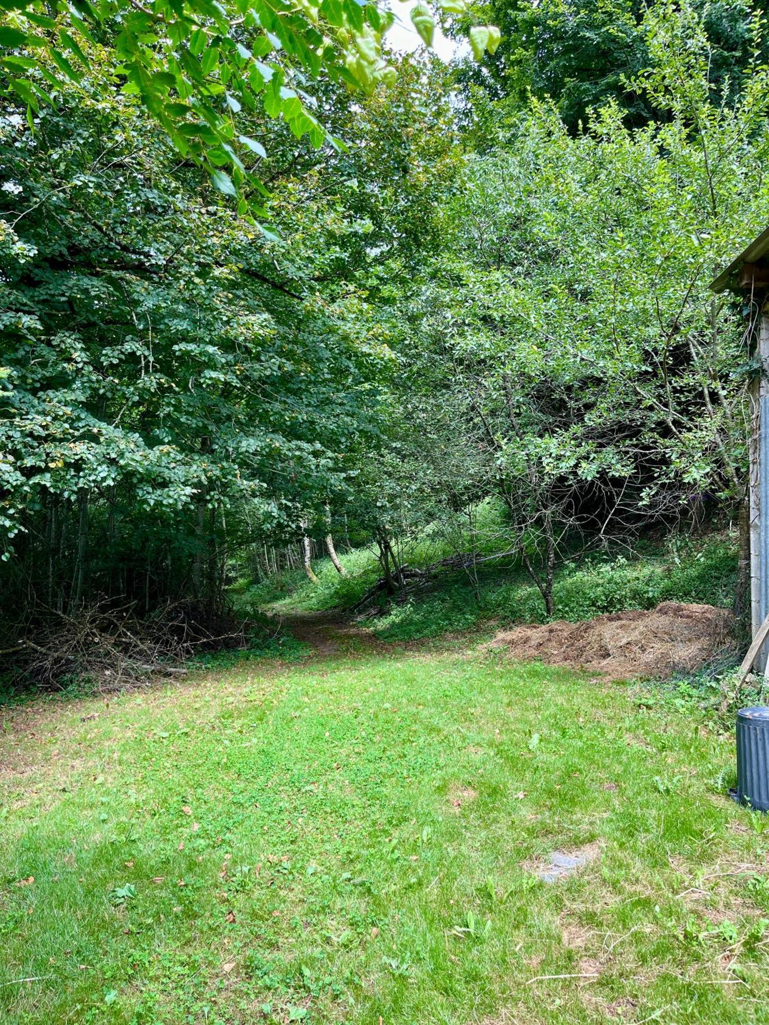 Parenthese En Foret - Lodge Baliveau Le Bez  ภายนอก รูปภาพ